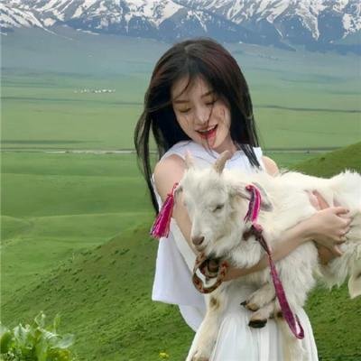 猫狗大战3：爪爪集结！